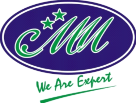 Logo PT Chayani Megajaya Mandiri — We Are Expert